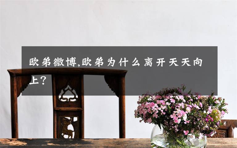 欧弟微博,欧弟为什么离开天天向上？