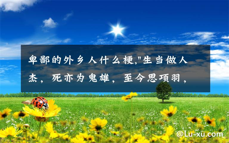 卑鄙的外乡人什么梗,