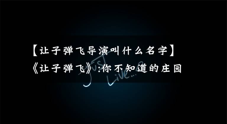 【让子弹飞导演叫什么名字】《让子弹飞》:你不知道的庄园