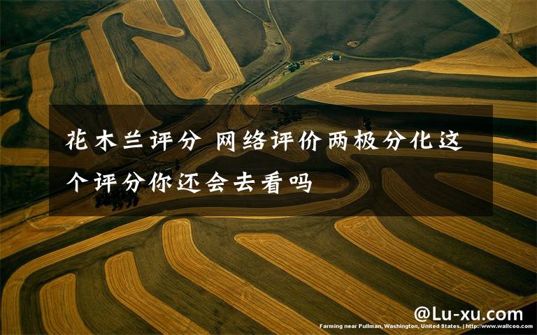 花木兰评分 网络评价两极分化这个评分你还会去看吗