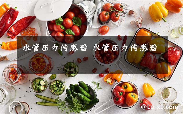 水管压力传感器 水管压力传感器