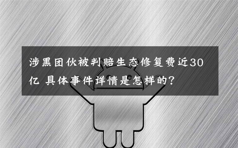 涉黑团伙被判赔生态修复费近30亿 具体事件详情是怎样的?