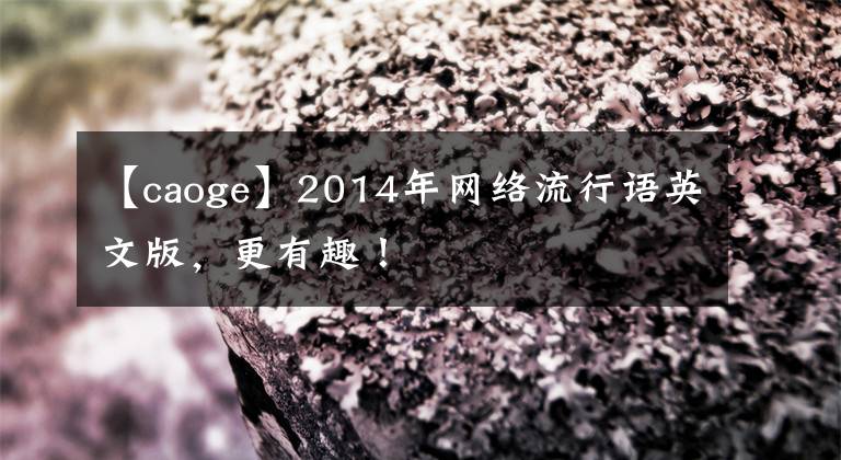 【caoge】2014年网络流行语英文版，更有趣！