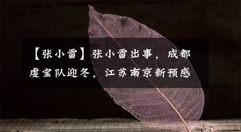 【张小雷】张小雷出事，成都虔宝队迎冬，江苏南京新预感提前甩锅