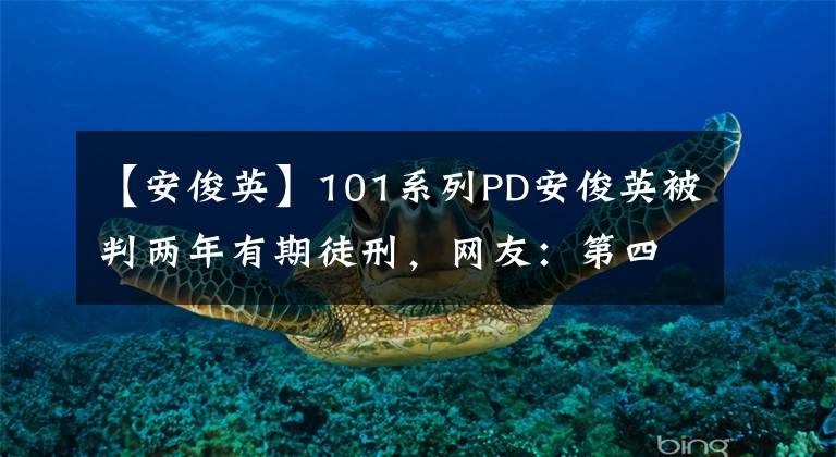 【安俊英】101系列PD安俊英被判两年有期徒刑,网友:第四季弟弟们太惨了。