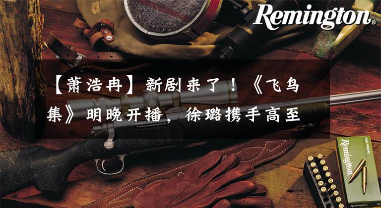 【萧浩冉】新剧来了！《飞鸟集》明晚开播，徐璐携手高至霆上演励志职场故事