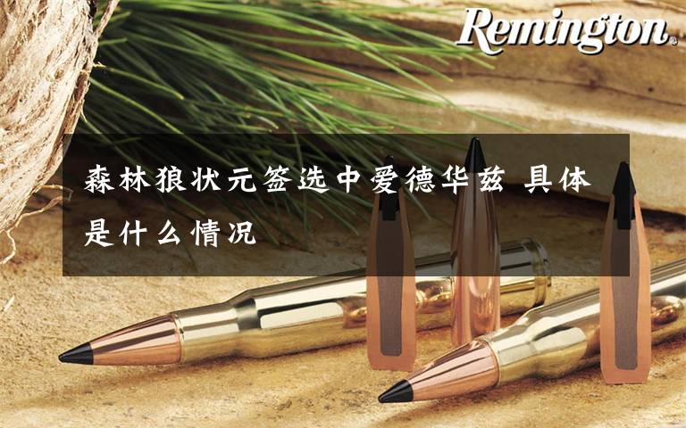 森林狼状元签选中爱德华兹 具体是什么情况