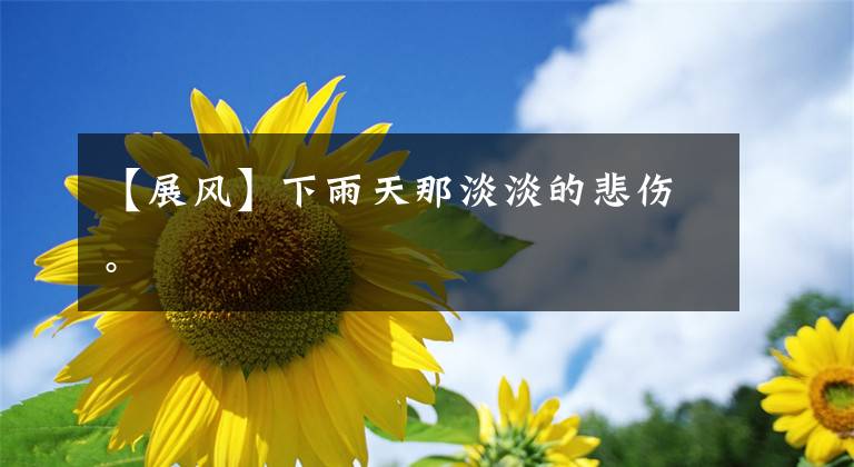 【展风】下雨天那淡淡的悲伤。