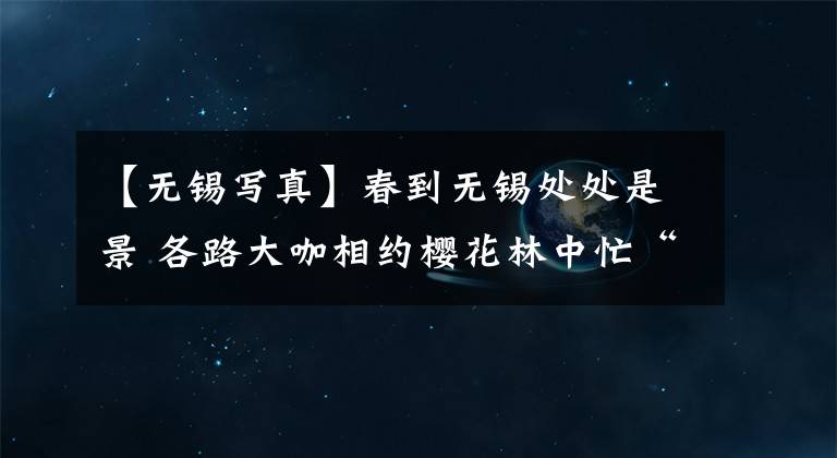 【无锡写真】春到无锡处处是景 各路大咖相约樱花林中忙“创作”