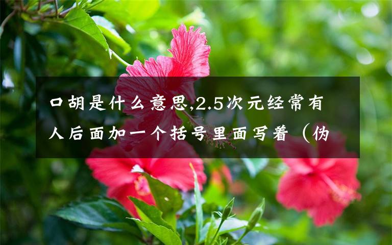 口胡是什么意思,2.5次元经常有人后面加一个括号里面写着（伪)是什么意思？