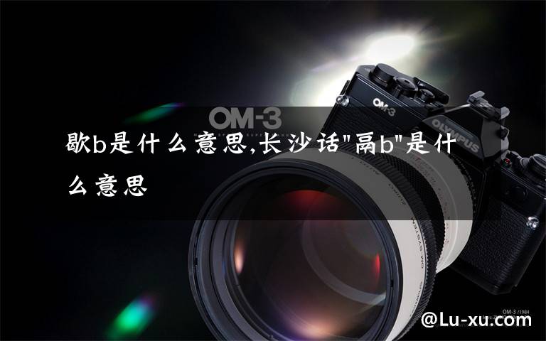 歇b是什么意思,长沙话