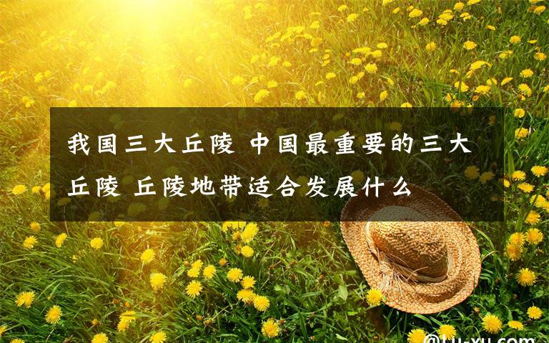 我国三大丘陵 中国最重要的三大丘陵 丘陵地带适合发展什么