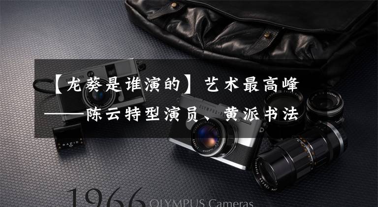 【龙葵是谁演的】艺术最高峰——陈云特型演员、黄派书法家继续攀登向日葵