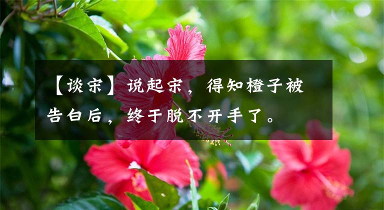 【谈宋】说起宋，得知橙子被告白后，终于脱不开手了。