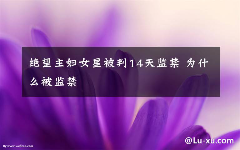 绝望主妇女星被判14天监禁 为什么被监禁