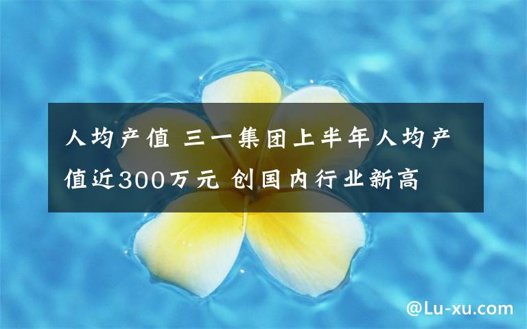 人均产值 三一集团上半年人均产值近300万元 创国内行业新高