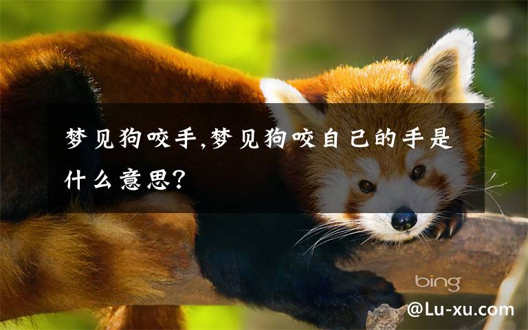 梦见狗咬手,梦见狗咬自己的手是什么意思?