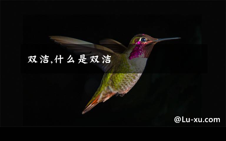 双洁,什么是双洁