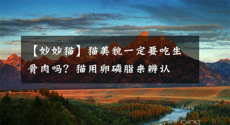 【妙妙猫】猫美貌一定要吃生骨肉吗？猫用卵磷脂来辨认
