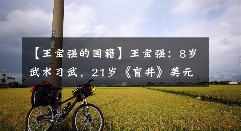 【王宝强的国籍】王宝强：8岁武术习武，21岁《盲井》美元，38岁陷入了“侨民撤离令”风波