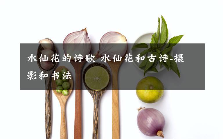 水仙花的诗歌 水仙花和古诗-摄影和书法