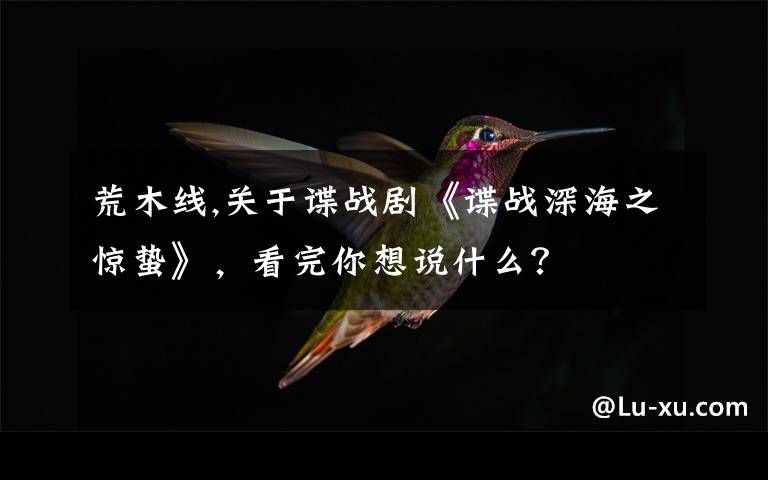 荒木线,关于谍战剧《谍战深海之惊蛰》，看完你想说什么？