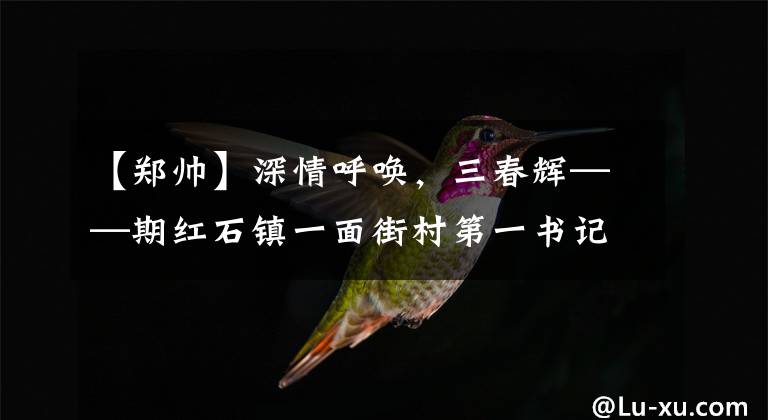 【郑帅】深情呼唤,三春辉——期红石镇一面街村第一书记郑舒