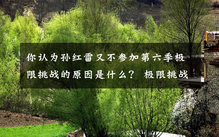 你认为孙红雷又不参加第六季极限挑战的原因是什么? 极限挑战孙红雷高清