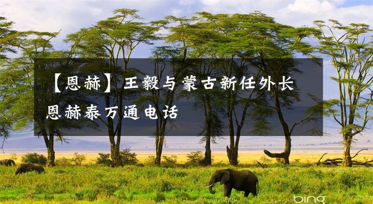 【恩赫】王毅与蒙古新任外长恩赫泰万通电话