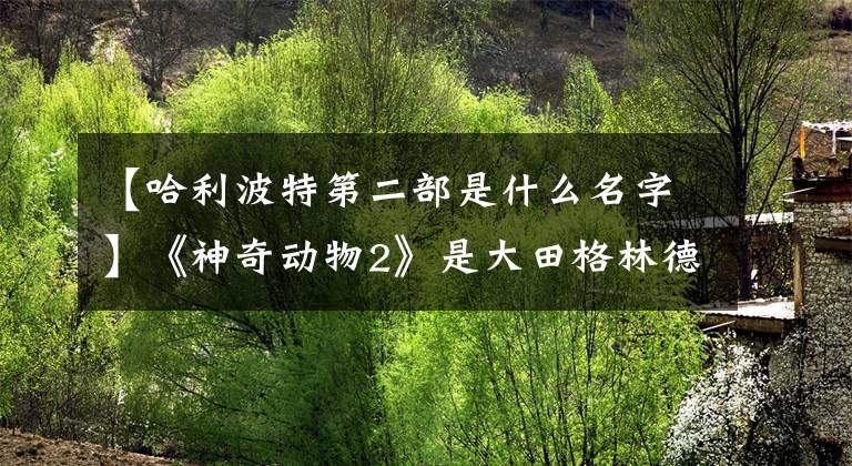 【哈利波特第二部是什么名字】《神奇动物2》是大田格林德沃吗？哈利波特挖的坑填好了。
