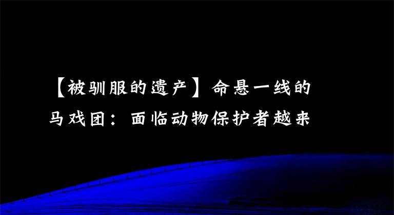 【被驯服的遗产】命悬一线的马戏团:面临动物保护者越来越多的举报