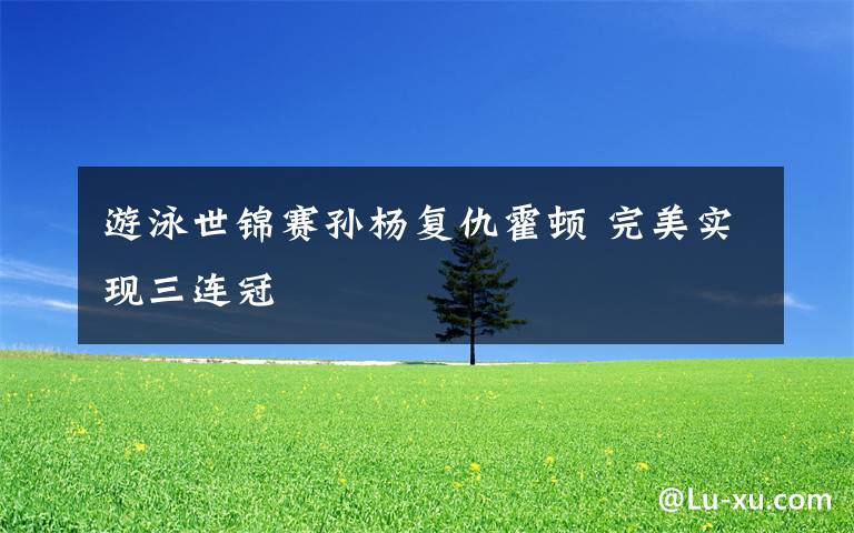 游泳世锦赛孙杨复仇霍顿 完美实现三连冠