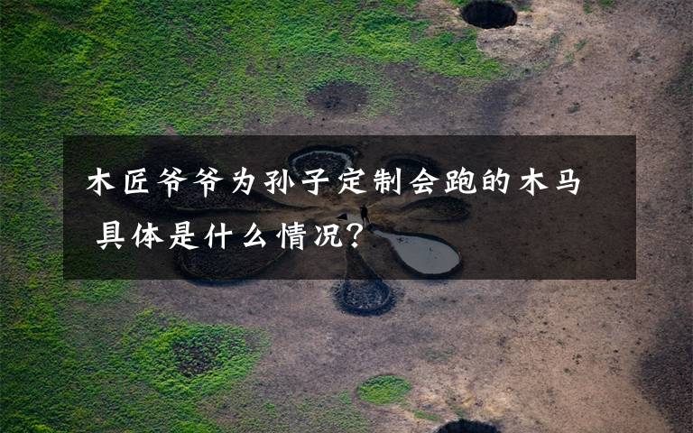 木匠爷爷为孙子定制会跑的木马 具体是什么情况？