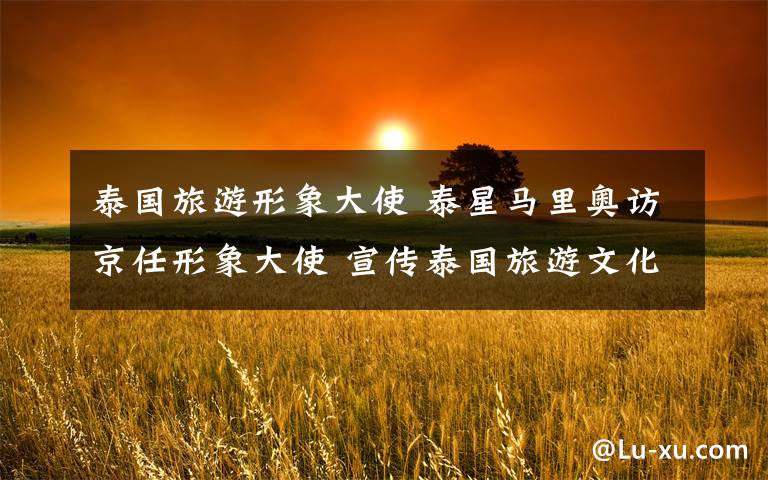 泰国旅游形象大使 泰星马里奥访京任形象大使 宣传泰国旅游文化