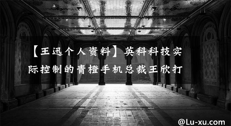 【王迅个人资料】英科科技实际控制的青橙手机总裁王欣打开了资本之路。