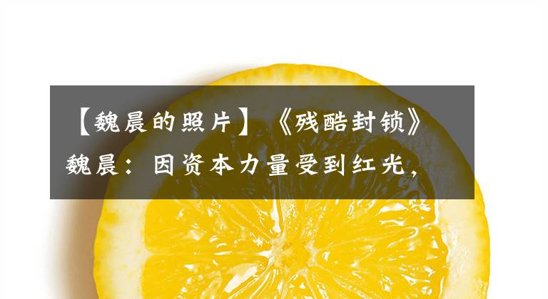 【魏晨的照片】《残酷封锁》魏晨:因资本力量受到红光,被傅菁抄袭,维权反而受到斥责。