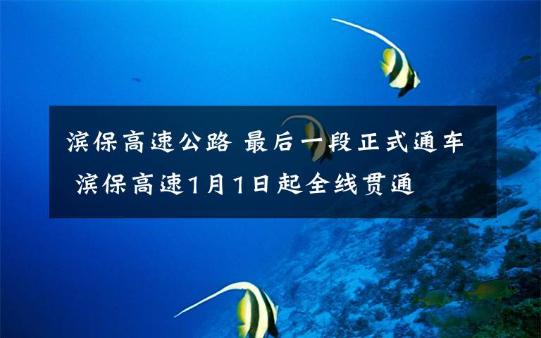 滨保高速公路 最后一段正式通车 滨保高速1月1日起全线贯通