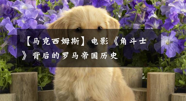 【马克西姆斯】电影《角斗士》背后的罗马帝国历史