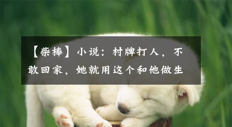 【柴棒】小说:村牌打人,不敢回家,她就用这个和他做生意,村牌成了她的弟弟