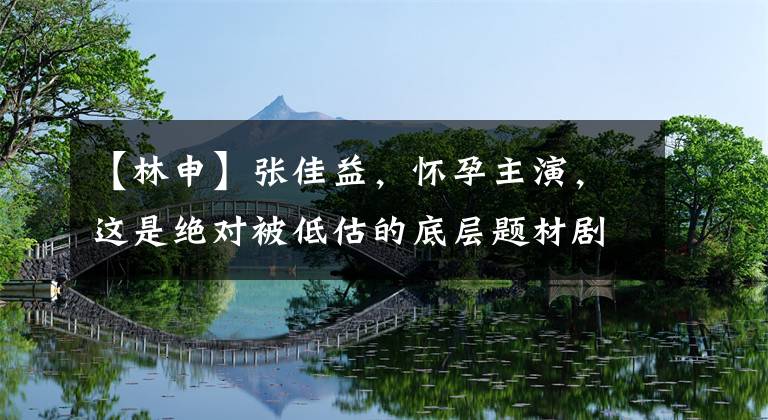 【林申】张佳益，怀孕主演，这是绝对被低估的底层题材剧