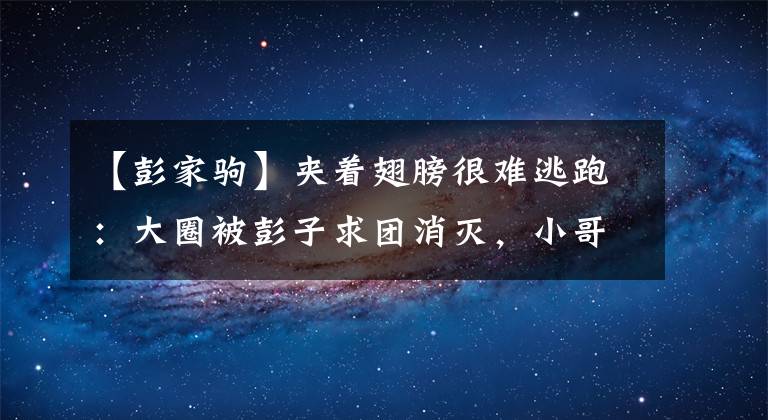 【彭家驹】夹着翅膀很难逃跑:大圈被彭子求团消灭,小哥哥女人也敢动,让你回不来。