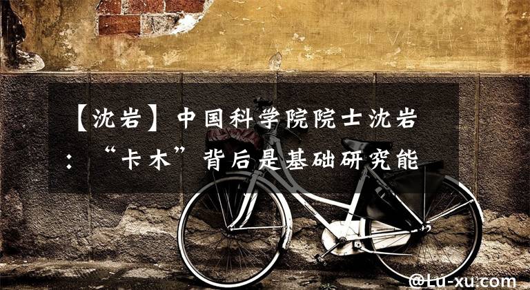 【沈岩】中国科学院院士沈岩:“卡木”背后是基础研究能力的不足。