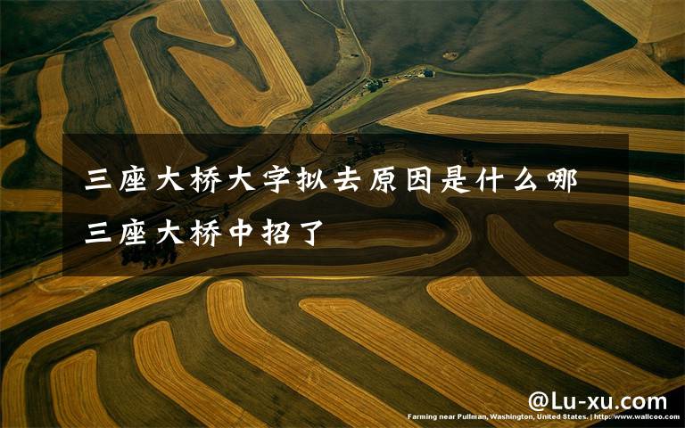 三座大桥大字拟去原因是什么哪三座大桥中招了