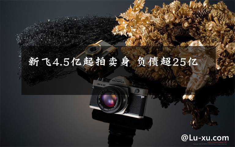 新飞4.5亿起拍卖身 负债超25亿