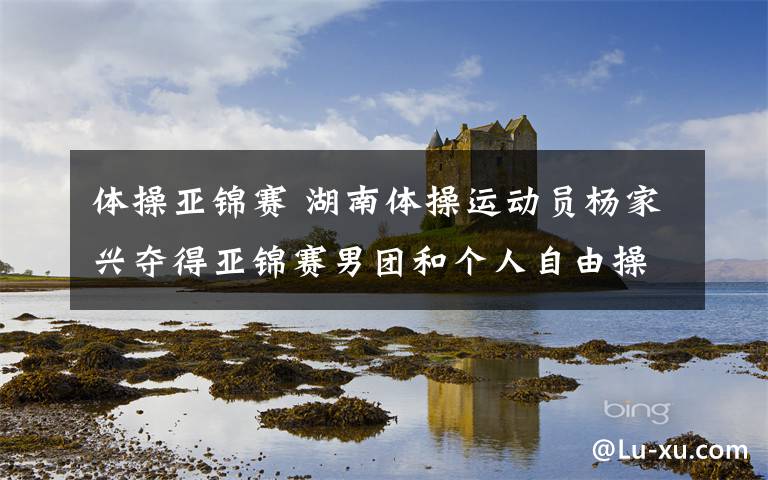 体操亚锦赛 湖南体操运动员杨家兴夺得亚锦赛男团和个人自由操两项冠军