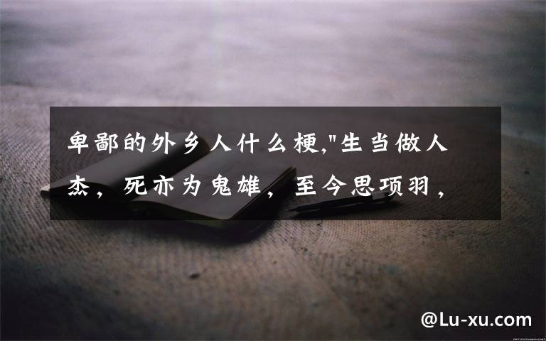 卑鄙的外乡人什么梗,