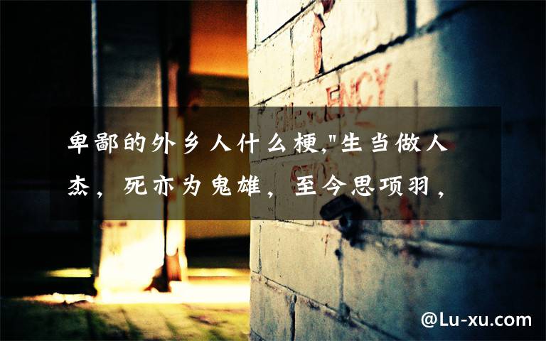 卑鄙的外乡人什么梗,