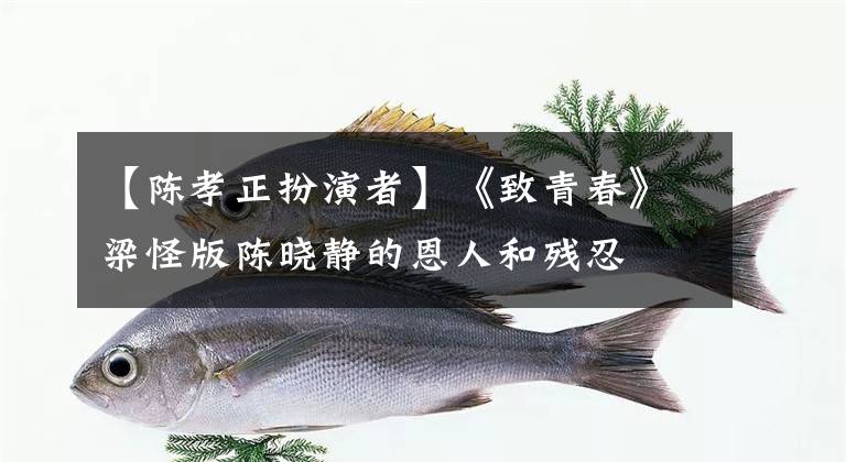 【陈孝正扮演者】《致青春》梁怪版陈晓静的恩人和残忍