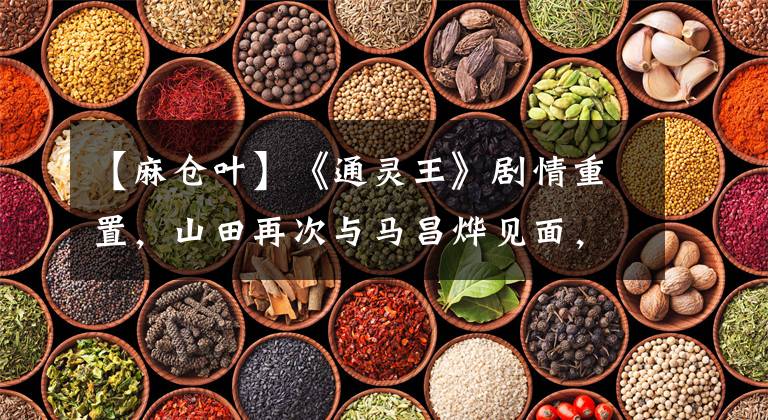 【麻仓叶】《通灵王》剧情重置，山田再次与马昌烨见面，揭开通灵术世界