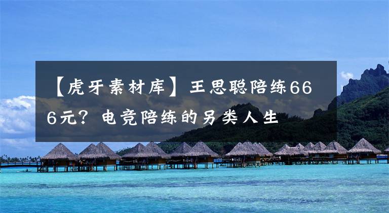 【虎牙素材库】王思聪陪练666元？电竞陪练的另类人生